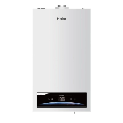 Настенный газовый котел Haier SpaceSlim 2.18 TW фото 3