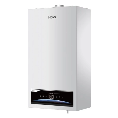 Настенный газовый котел Haier SpaceSlim 2.24 TW фото 1